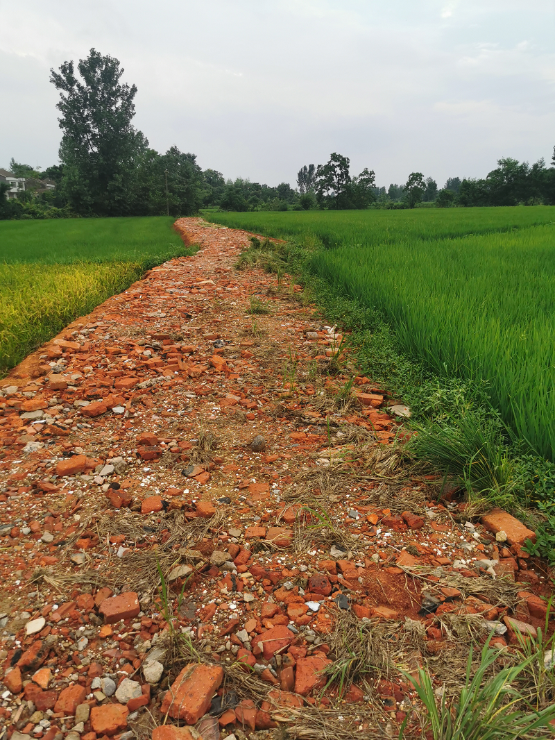 addf914a597b469b929c844d035cc0fd.png addf914a597b469b929c844d035cc0fd.png