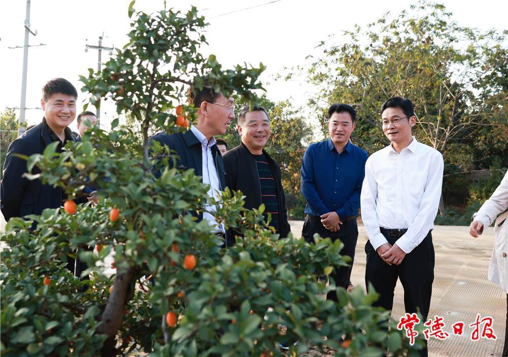 37082ad8e78648c29f837e2d54a87fdd.jpg 37082ad8e78648c29f837e2d54a87fdd.jpg