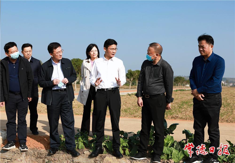 b3a59ab7336044fa92e0a1e46c2c67d6.jpg b3a59ab7336044fa92e0a1e46c2c67d6.jpg