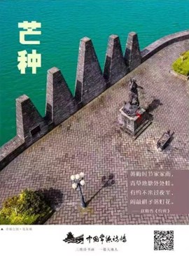 中国传统二十四节气：芒种