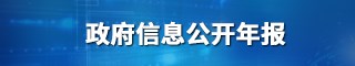 政府信息公开年报